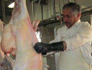 بازرس گوشت- مسعودی